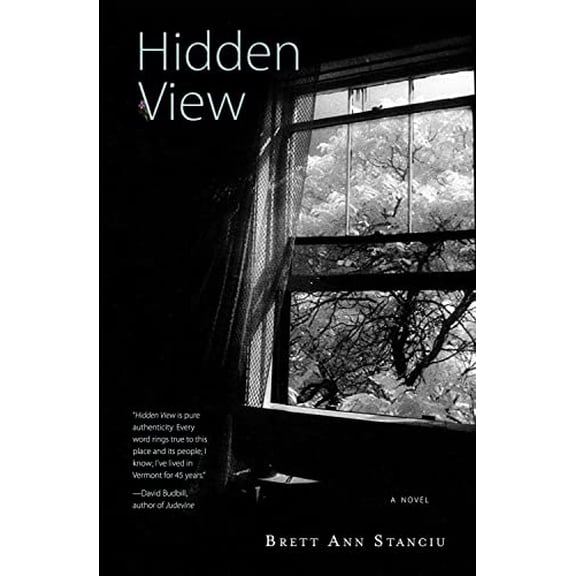 Pre-Owned Hidden View (Paperback) 0996135707 9780996135702
