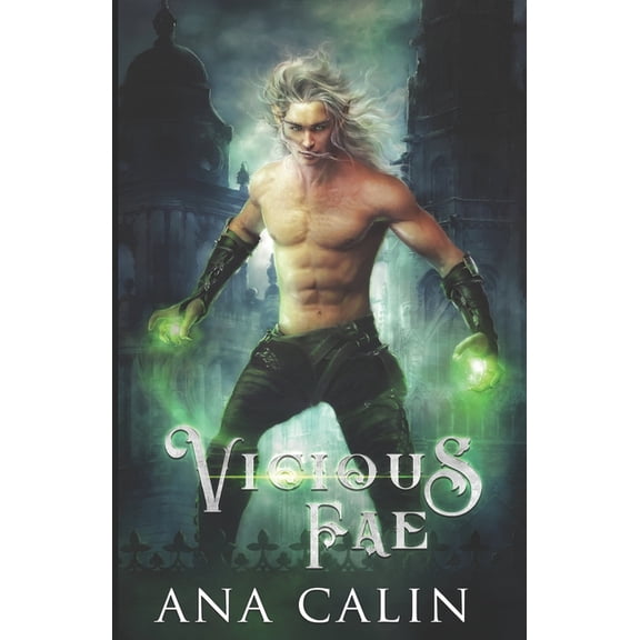 Hidden World: Vicious Fae (Paperback)