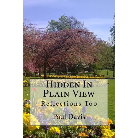 Hidden in Plain View Hidden In Plain View: Reflections Too, Book 2, (Paperback)