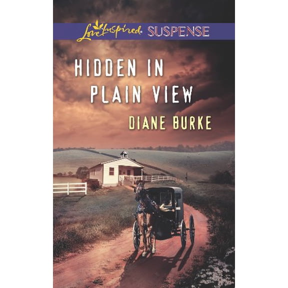 Pre-Owned Hidden in Plain View (Paperback 9780373445356) by Diane Burke