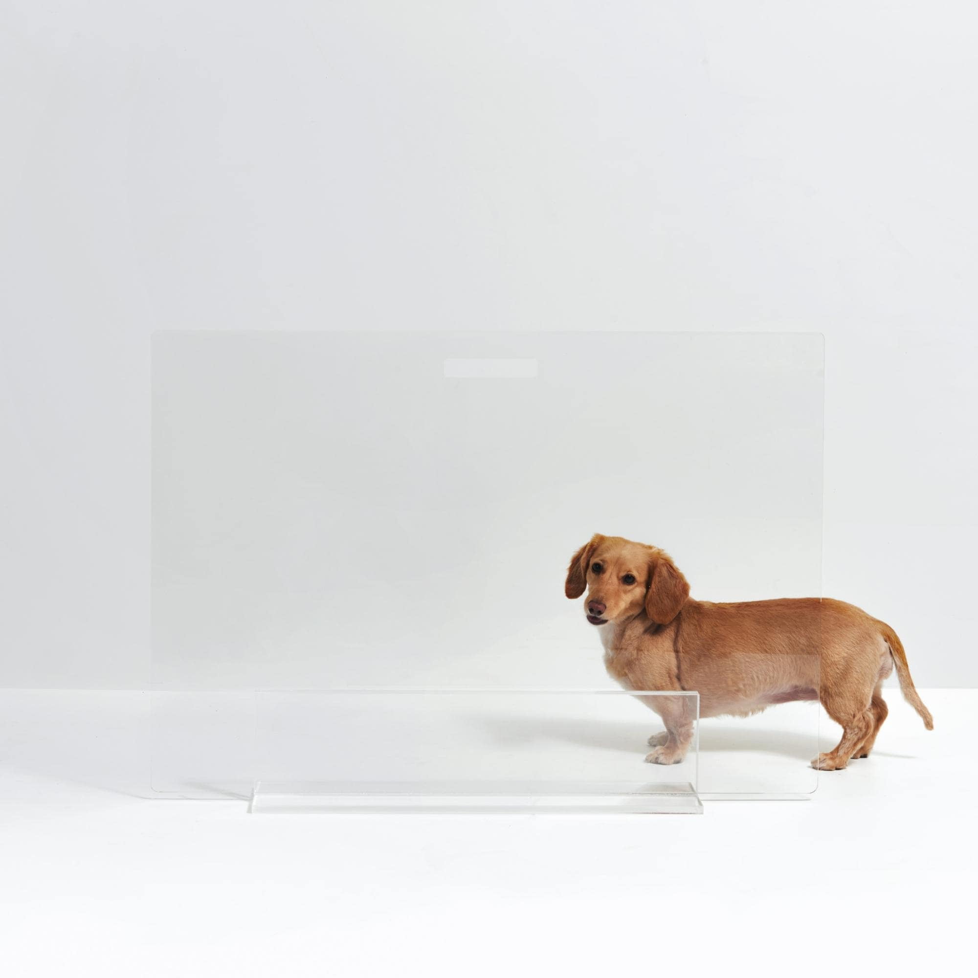 Clear Acrylic Freestanding Pet Gate Panel, 36" Wide