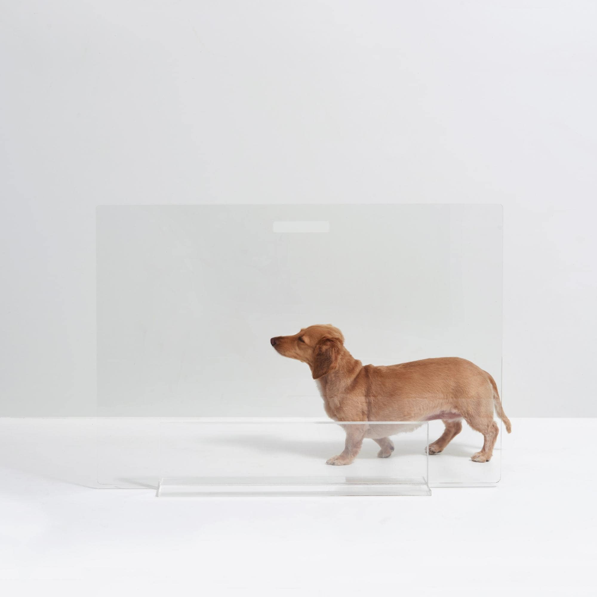 Clear Acrylic Freestanding Pet Gate Panel, 30 Inches Tall