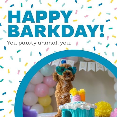 Hide-A-Birthday-Cake Dog Toy – Interactive 2‑in‑1 Plush Puzzle with 3 Squeaky Removable Candles