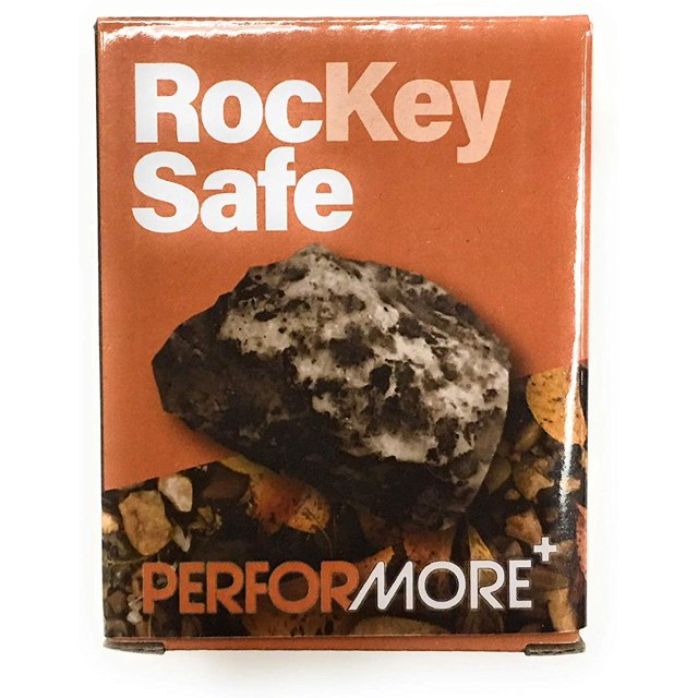 Hide A Key in Plain Sight in a Real Looking Rock/Stone, Holds Standard Sized Spare Keys by