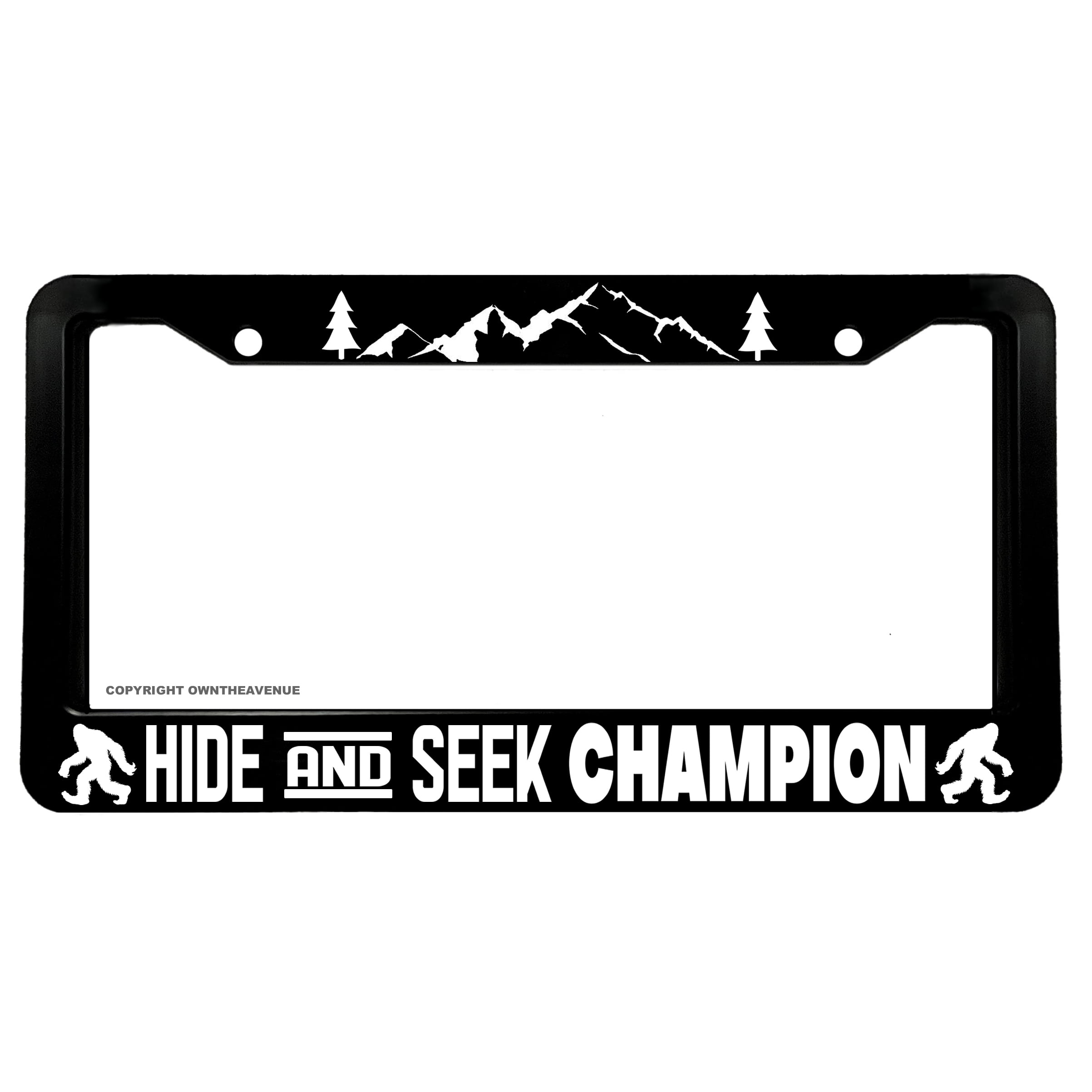 Bigfoot Research Team Frame 