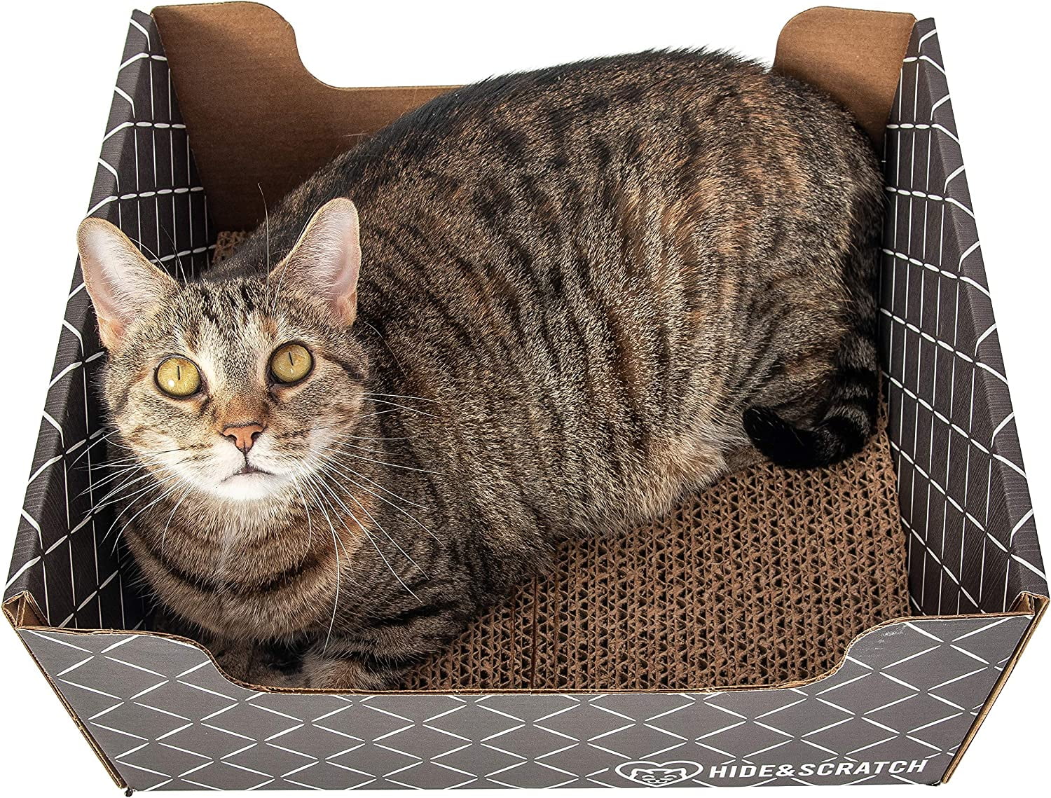 Cardboard cat scratcher lounger sale