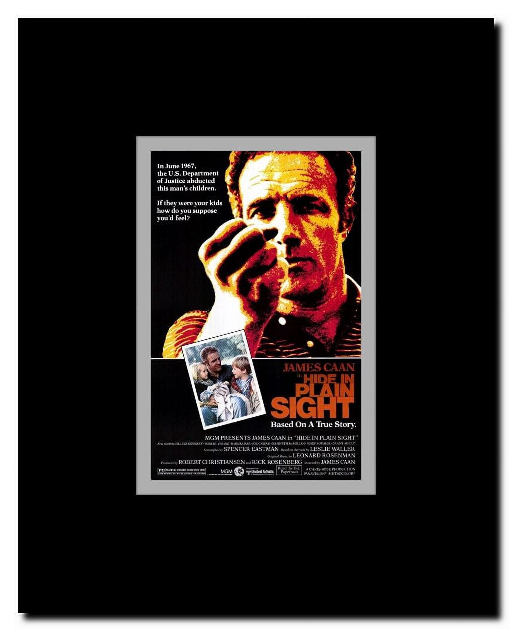 Hide in Plain Sight Framed Movie Poster