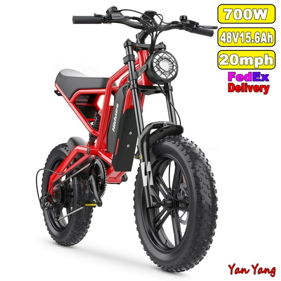 Hidoes B6 700W Electric Bike for Adults,20''×4.0" Fat Tire Electric Bicycle 48V 15.6Ah Removable Battery Max Range 38 Miles & 20 MPH for Urban Commuters, Dual Suspension E-Bike