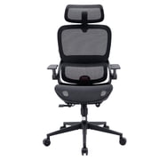 Sihoo B100 Ergonomic Office Chair, Task Chair with Dual Back Support, 2D Wide Headrest for Teenager, Mesh High Back Executive Chair for Home Office, Black