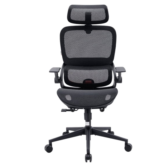 Sihoo B100 Ergonomic Office Chair, Task Chair with Dual Back Support, 2D Wide Headrest for Teenager, Mesh High Back Executive Chair for Home Office, Black