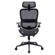 Sihoo B100 Ergonomic Office Chair, Task Chair with Dual Back Support, 2D Wide Headrest for Teenager, Mesh High Back Executive Chair for Home Office, Black