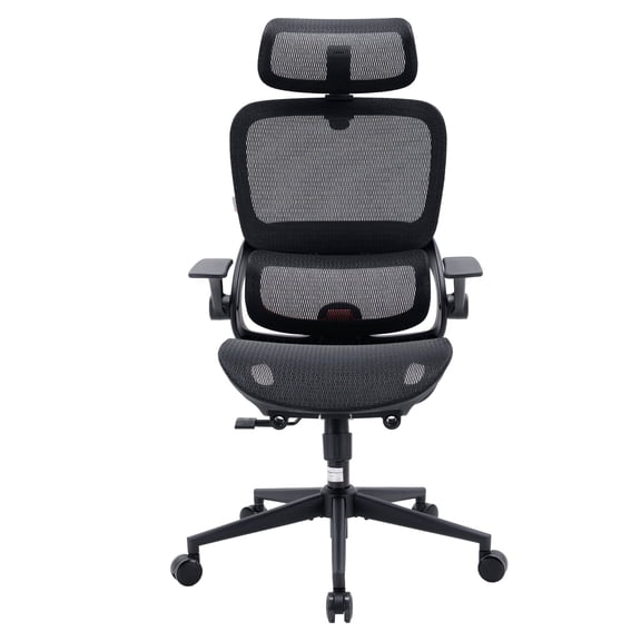 SIHOO B100 Ergonomic Office Chair, Task Chair with Zoned Back Support, 2D Wide Headrest Study Chair for Teenager, High Back Executive Chair for Home Office, Black, 300lbs