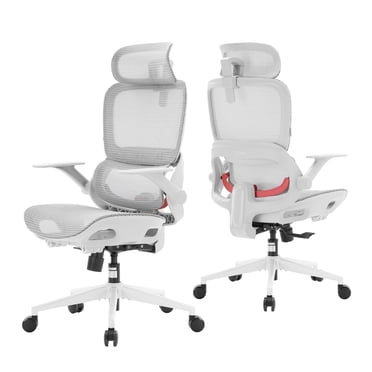 SIHOO B100 Ergonomic Office Chair, Task Chair with Zoned Back Support, 2D Wide Headrest Study Chair for Teenager, High Back Executive Chair for Home Office, White