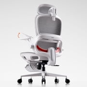 SIHOO B100 Ergonomic Office Chair with Footrest, Mesh Office Chair with Adaptive Dynamic Lumbar, Flip-up Arm, Dual-Back Office Chair for Home Office, 300lb, Light Grey