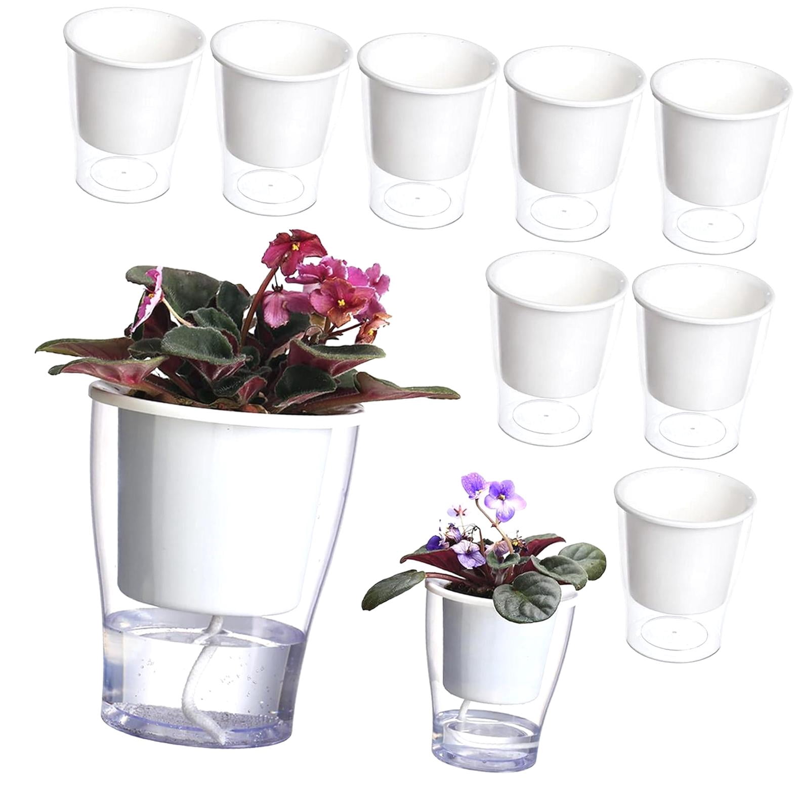 Hidove 8-Pack 5.1” Clear Self-Watering Planters Medium African Violet