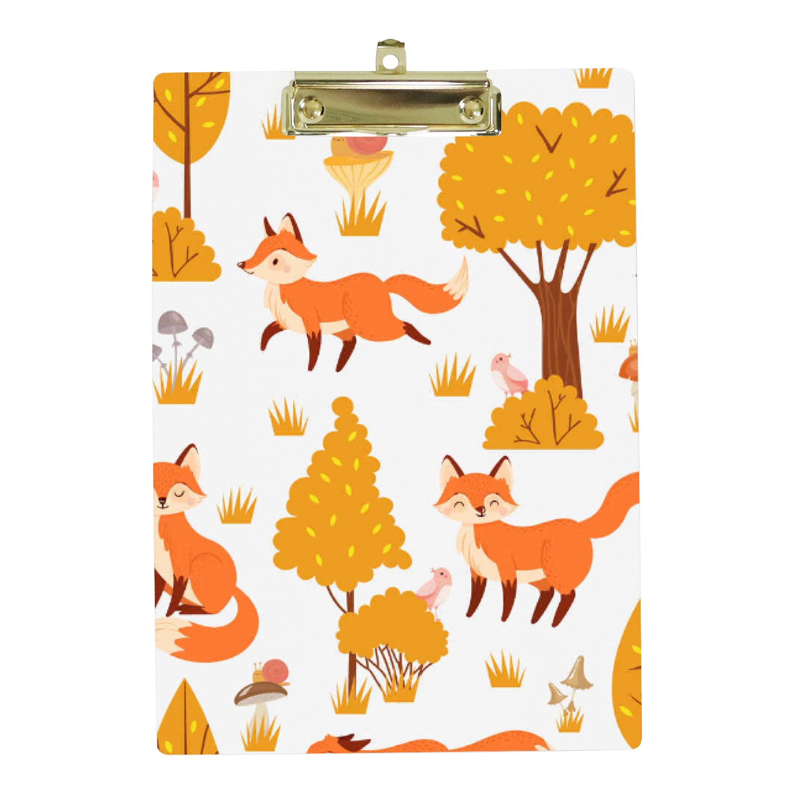 Hidove Acrylic Clipboard, Fox Standard A4 Letter Size Clipboards with