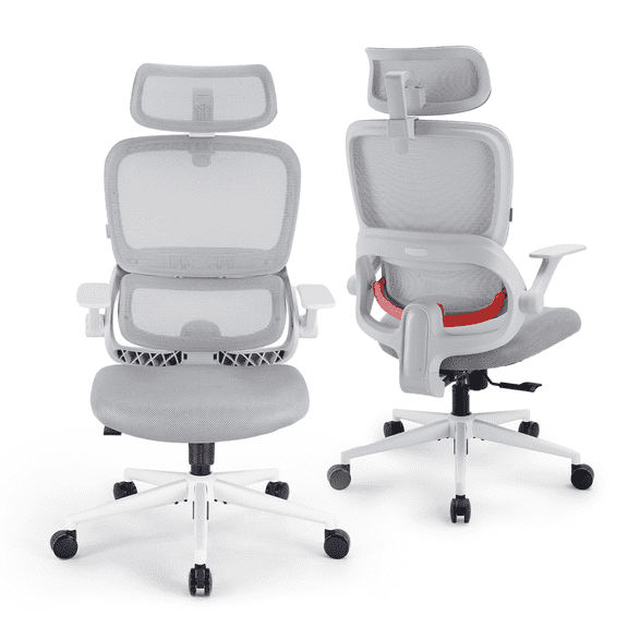 SIHOO B100 Se Office Chair, Deak Chairs with Cotton Seat & Dual-Back, 2D Headrest & Flip-up Armrest, Comfort Mesh Ergonomic Chair for Home Office, Teen, 300lbs, Light Gray