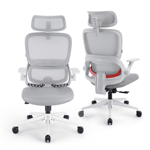 SIHOO B100 Se Office Chair, Deak Chairs with Cotton Seat & Dual-Back , 2D Headrest & Flip-up Armrest, Comfort Mesh Ergonomic Chair for Home Office, Teen, 300lbs, Gray