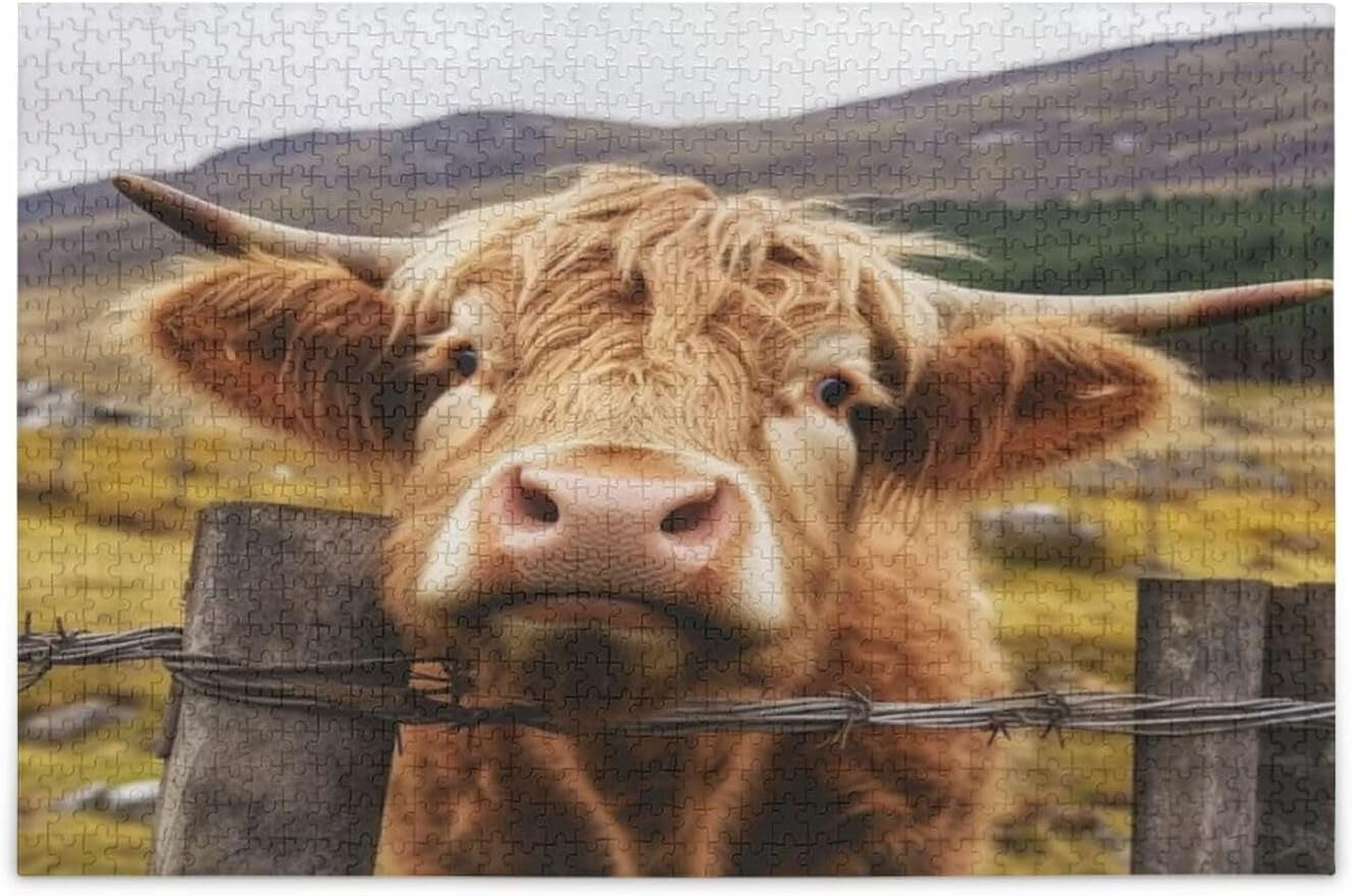 Hidove Funny Scottish Highland Cattle Cows Jigsaw Puzzles, Wooden