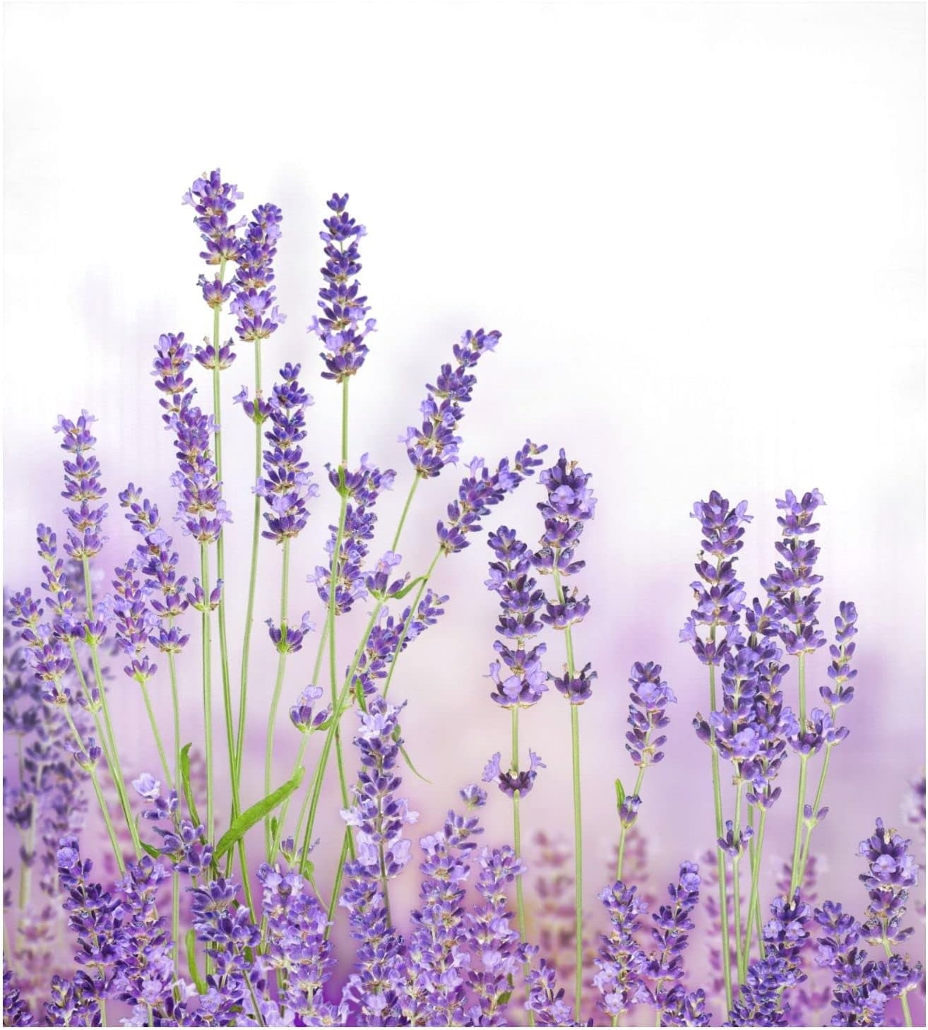 Hidove Lavender Flower Dishwasher Cover, Refrigerator