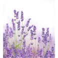 Hidove Lavender Flower Dishwasher Cover, Refrigerator