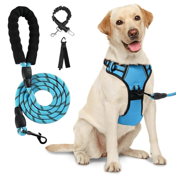 Hidpriva No Pull Dog Harness Leash Set , Reflective Dog Vest with Easy Control Handle, Adjustable Pet Harness for Large Dogs, Blue, L