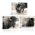 thumbnail image 1 of Hieng 3 Pcs Bison Wall Art Animals Picture Print Buffalo Bison Wildlife Photography Canvas Posters Rustic Artwork Farmhouse Paintings Living Room Bathroom Decor, 1 of 5