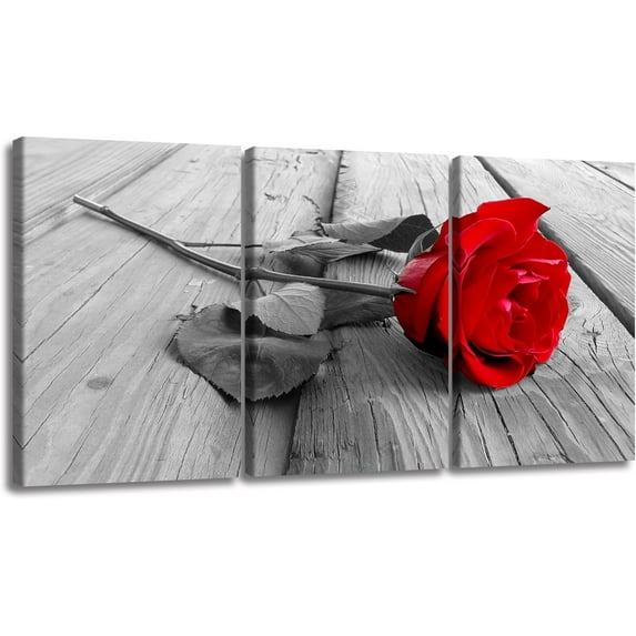 Hieng 3Pieces Flower Canvas Wall Art Decor Set Modern Giclee ArtworkInk Ink Painting Print Red Poppies Poster Wall Art for Bedroom Home Decoration (Only canvas)