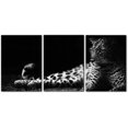 thumbnail image 1 of Hieng Abstract Canvas Wall Art, Painting Prints, Feather Pictures Modern Wall Decor for Living Room Bedroom Office Home Decor -（Only canvas）, 1 of 6