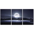 thumbnail image 1 of Hieng Abstract Canvas Wall Art, Painting Prints, Feather Pictures Modern Wall Decor for Living Room Bedroom Office Home Decor -（Only canvas）, 1 of 6