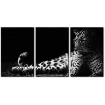 Hieng Abstract Canvas Wall Art, Painting Prints, Feather Pictures Modern Wall Decor for Living Room Bedroom Office Home Decor -（Only canvas）