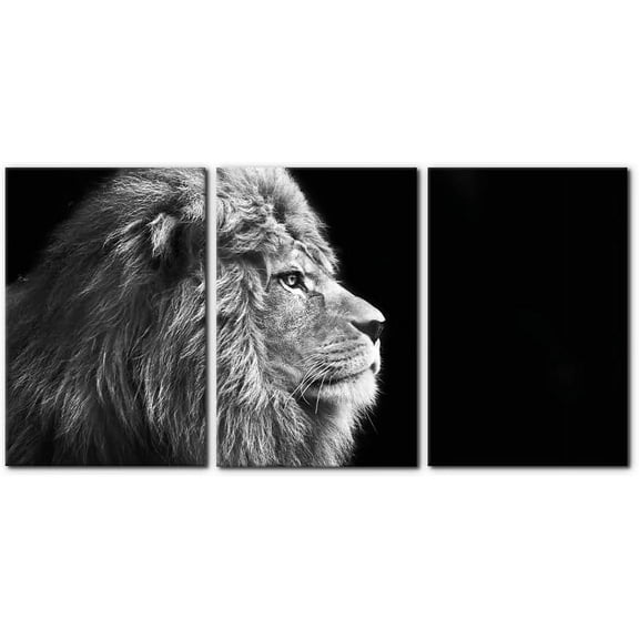 Hieng Abstract Canvas Wall Art, Painting Prints, Feather Pictures Modern Wall Decor for Living Room Bedroom Office Home Decor -(Only canvas)