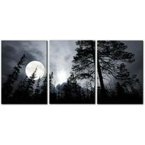 Hieng Abstract Canvas Wall Art, Painting Prints, Feather Pictures Modern Wall Decor for Living Room Bedroom Office Home Decor -(Only canvas)