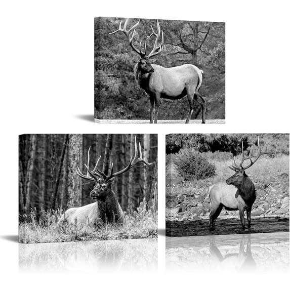 Hieng Bull Elk Canvas Wall Art, Black and White Bull Elk Big Antler Prints Wall Decor, 12"x16" Modern Wildlife Animal Landscape Poster Printing Artwork for Home Living Room(Only canvas)