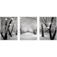 thumbnail image 1 of Hieng Four Seasons Forest Posters Canvas Wall Art Decor,Spring Summer Autumn Winter White Picture Artwork Painting For Living Room Bedroom(only canvas), 1 of 6