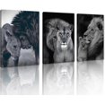 thumbnail image 1 of Hieng Lion Wall Art Lion Picture Wall Decor Black Animals Head Portrait Painting for Living Room Bedroom Unframed, 1 of 6