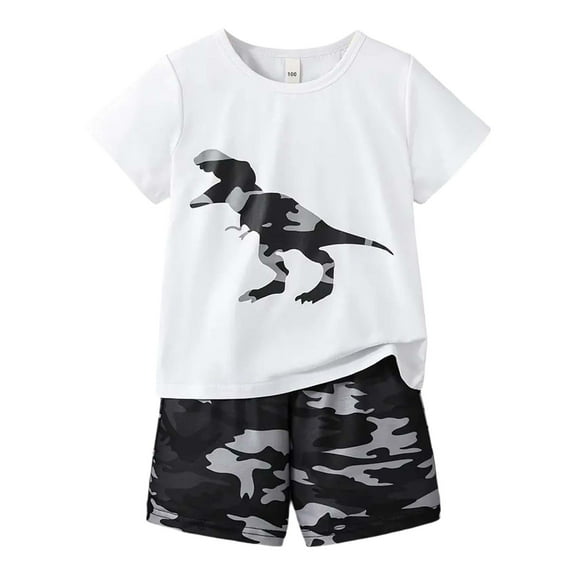 Hienoo Big Boys Dinosaur Print Short Sleeve T Shirt and Shorts Set Summer Causal Outfits