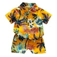 thumbnail image 1 of Hienoo Boys Hawaii Beach Outfits Short Sleeve Button-Down Shirt and Shorts Set, 1 of 4