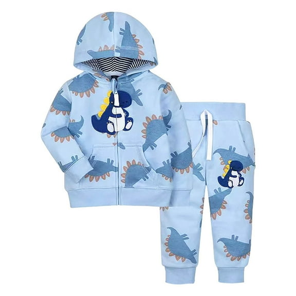 Hienoo Boys Sports Outfits Long Sleeve Dinosaur Zip-Up Hoodie Sweatpants Suit, Sizes 0-4T