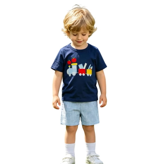 Hienoo Infant Boys Cartoon Train Embroidery Short Sleeve T Shirt Shorts Set Casual Outfits