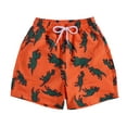 thumbnail image 1 of Hienoo Little Boy Swim Shorts Quick Dry Swimming Trunks UPF 50+ Beach Board Shorts Swimsuit, 1 of 5