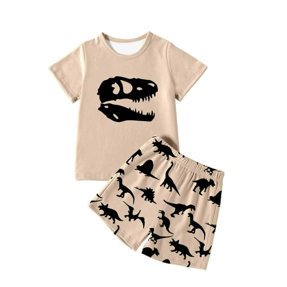 Hienoo Little Boys Casual Outfits Dinosaur Graphic Short Sleeve Tee Shirt Shorts 2Pcs Set