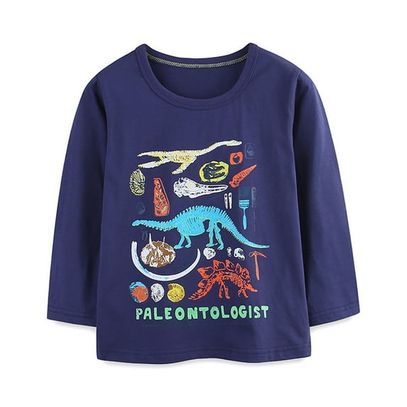 Hienoo Little Boys Dinosaur T Shirt Long Sleeve Round Neck T-Shirt Casual Loose Tshirt Top