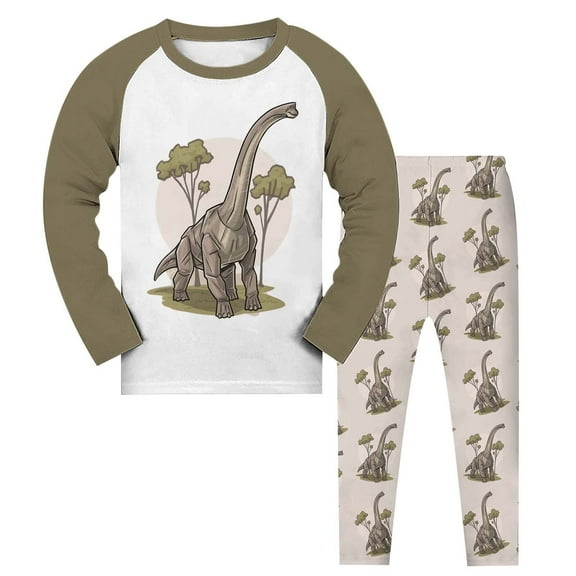 Hienoo Little Boys Pajama Set Dinosaur Print Long Sleeve Top and Pants Sleepwear Outfits, 2-Piece