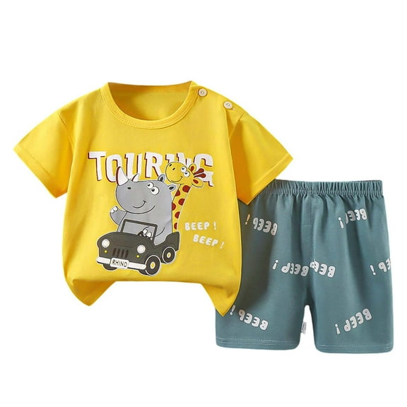 Hienoo Little Boys Summer Outfits Cartoon Short Sleeve T Shirt Shorts Children's 2Pcs Set
