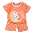 thumbnail image 1 of Hienoo Newborn Girls Summer 2Pcs Outfits Short Sleeve Graphic T Shirt Shorts Set, 1 of 3