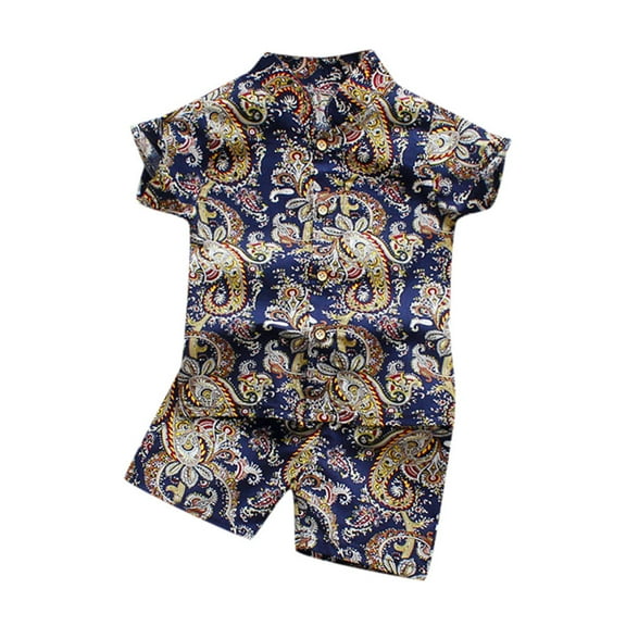 Hienoo Toddler Boys Clothes Outfits Vacation Hawaii Beach Short Sleeved Shirt Shorts Set