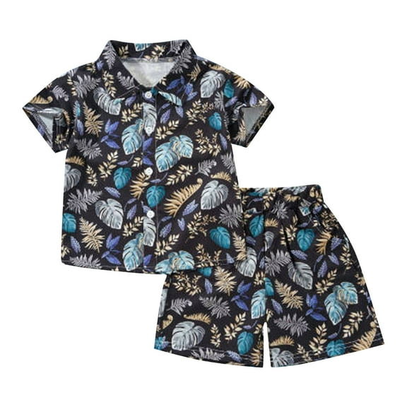 Hienoo Toddler Boys Hawaii Beach Short Sleeve Button-Down Shirt Shorts Set Summer Outfits