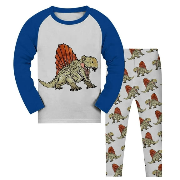 Hienoo Toddler Boys Pajamas Set Cartoon Dinosaur Print Long Sleeve Top and Pants Sleepwear Pjs, 2-Piece