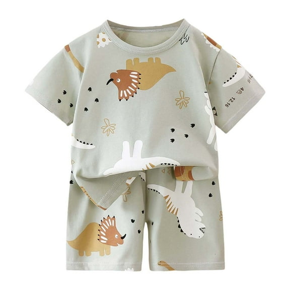 Hienoo Toddler Boys Summer Outfits Cartoon Short Sleeve T Shirt Shorts Children's 2Pcs Set